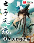 士子风流封面