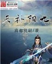 九阳补天封面