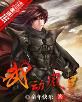武动风暴封面