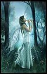 ����֮�ұ���������