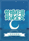 替婚标准,背诵全文封面