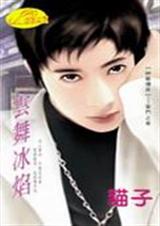 云舞冰焰封面