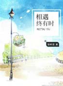相遇终有时封面