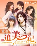 重生追美记封面