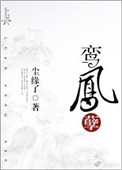 鸾凤孽封面