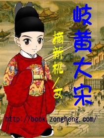岐黄大宋封面
